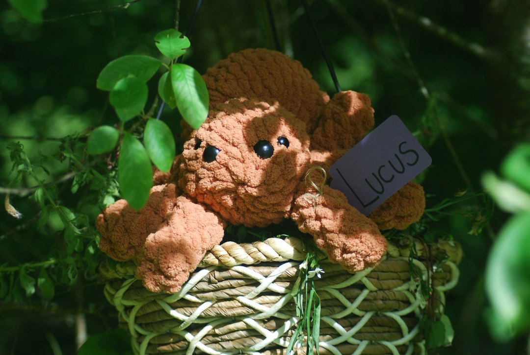 Visual illustration for advanced How to crochet amigurumi animals for beginners strategies